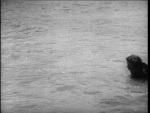 Creature From The Haunted Sea - 1961 Image Gallery Slide 25