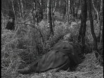 Robin Hood 073 – The Infidel - 1957 Image Gallery Slide 5