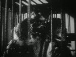 The Gorilla - 1939 Image Gallery Slide 10