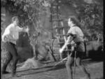 Robin Hood 140 – The Champion - 1960 Image Gallery Slide 14