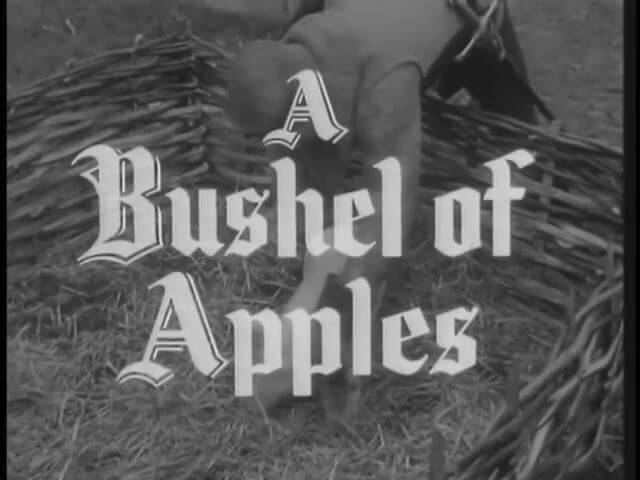 Robin Hood 142 – A Bushell of Apples