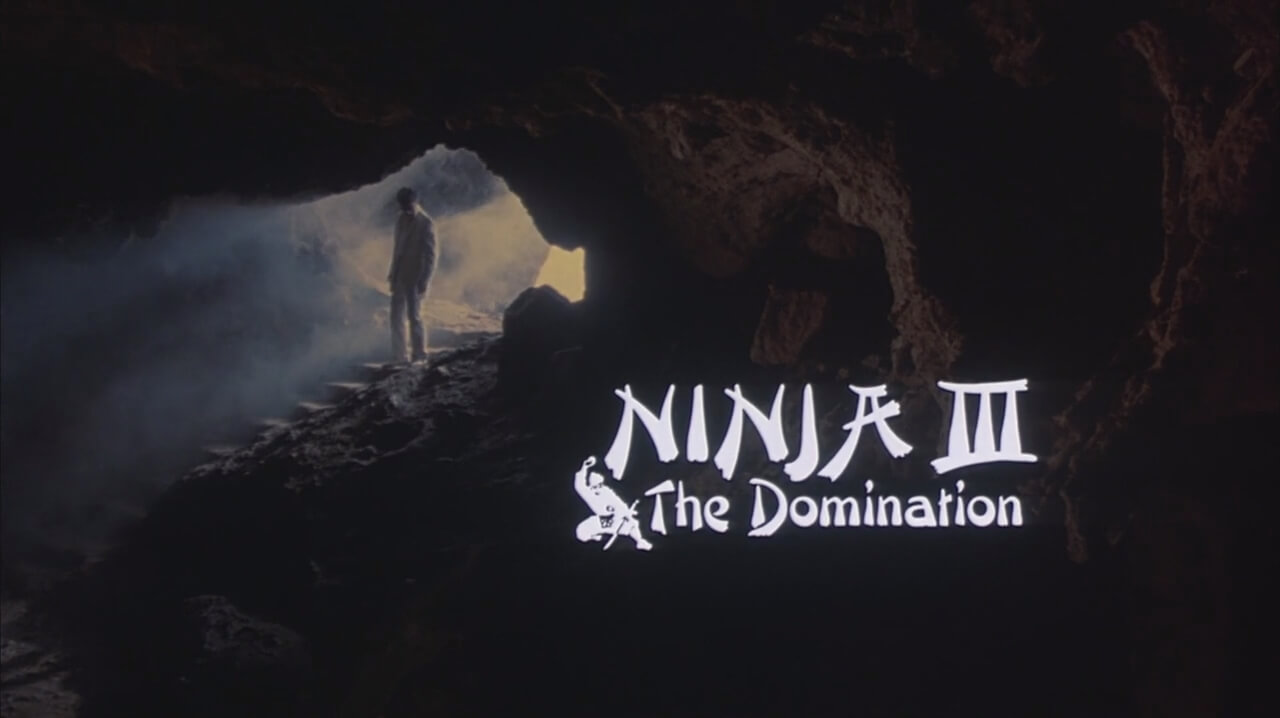 Ninja III: The Domination